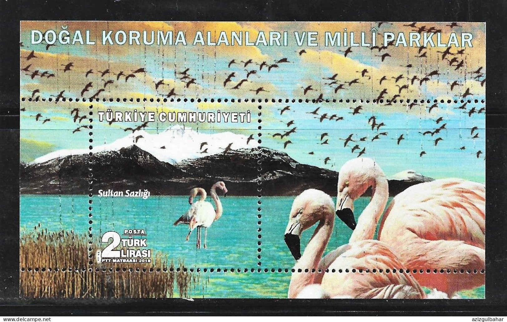 TURKEY - SWANS - SOUVENIOUR SHEET - BLOCK - UMM - Cygnes