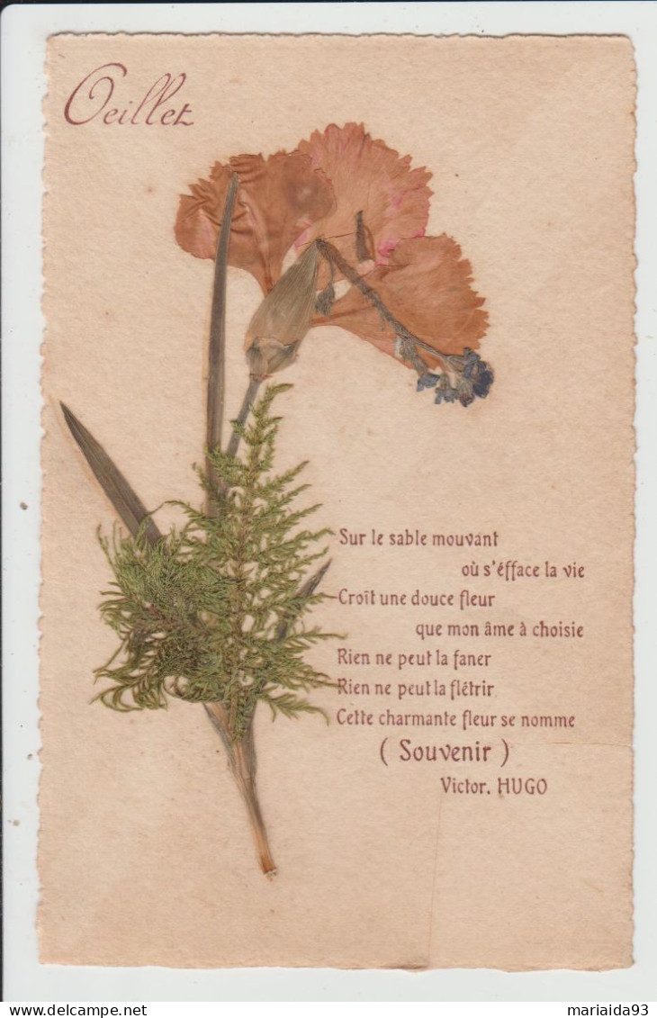 CARTE AVEC AJOUTIS DE FLEURS SECHEES - OEILLET - POEME DE VICTOR HUGO - Autres & Non Classés