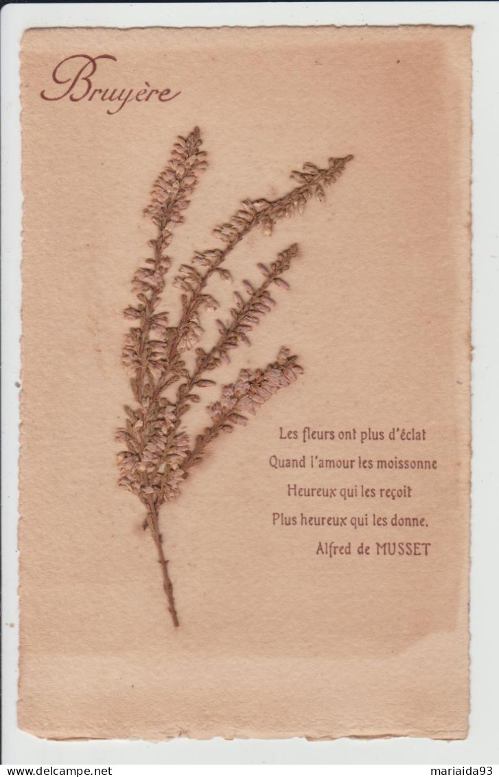 CARTE AVEC AJOUTIS DE FLEURS SECHEES - BRUYERE - POEME D'ALFRED DE MUSSET - Autres & Non Classés