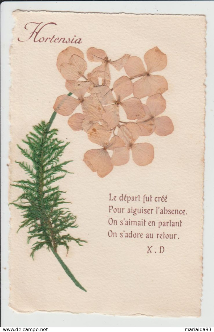 CARTE AVEC AJOUTIS DE FLEURS SECHEES - HORTENSIA - POEME - Autres & Non Classés