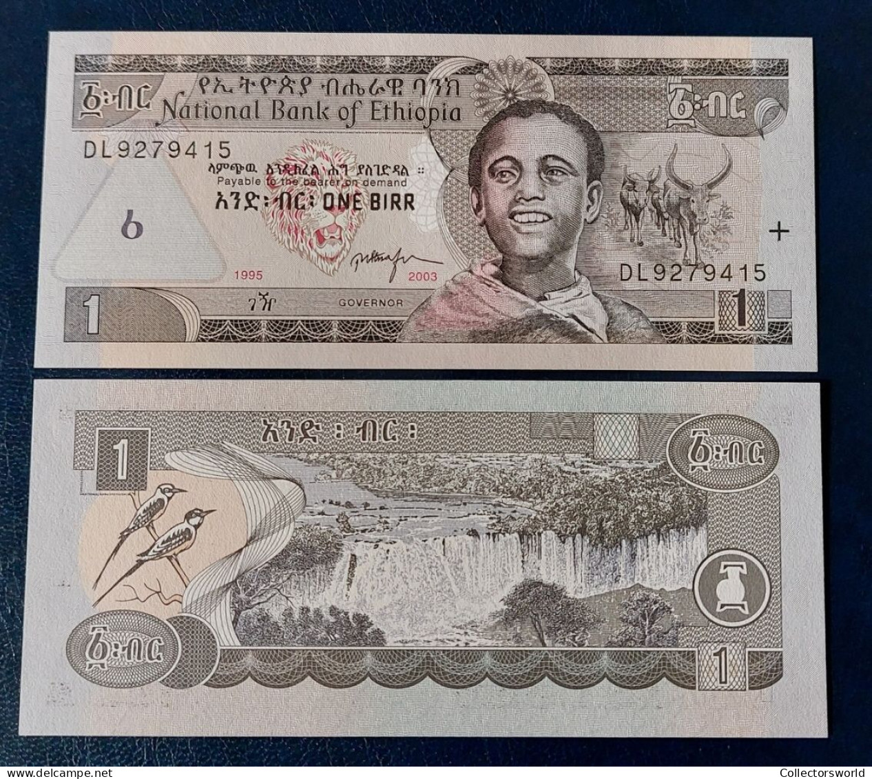 Ethiopia 1 Birr Year 2003 P46 UNC - Ethiopia