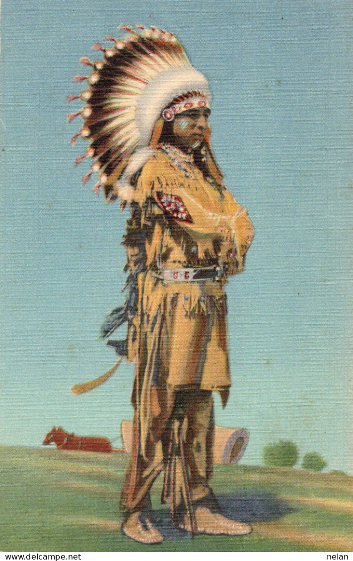 PUEBLO INDIAN DANCER IN FULL REGALLIA - Other & Unclassified