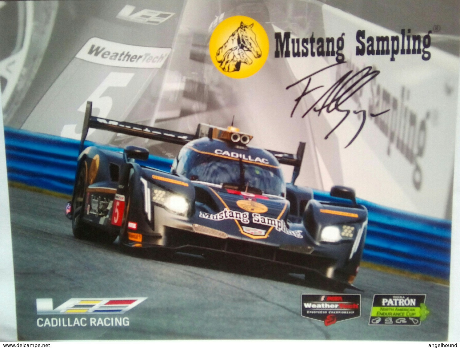 Mustang Filipe Albuquerque Signed - Autografi