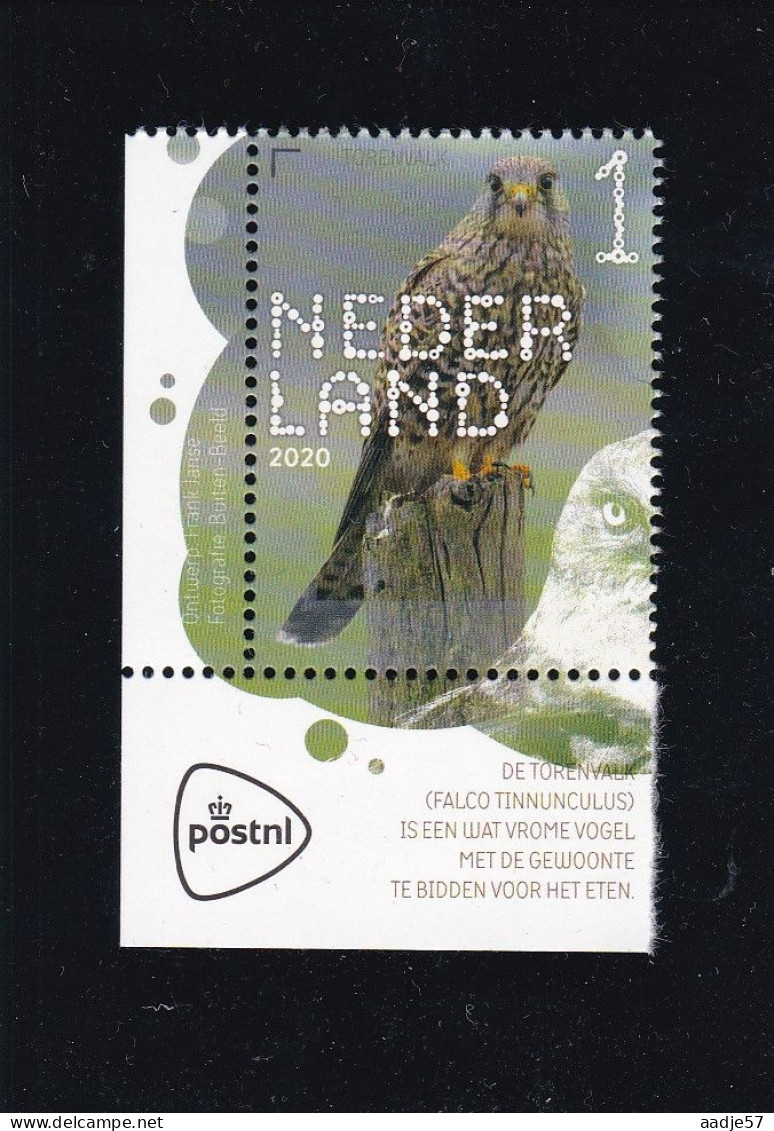 Netherlands Pays Bas 2020 Torenvalk Kestrel Falco Tinnunculus MNH** - Aigles & Rapaces Diurnes