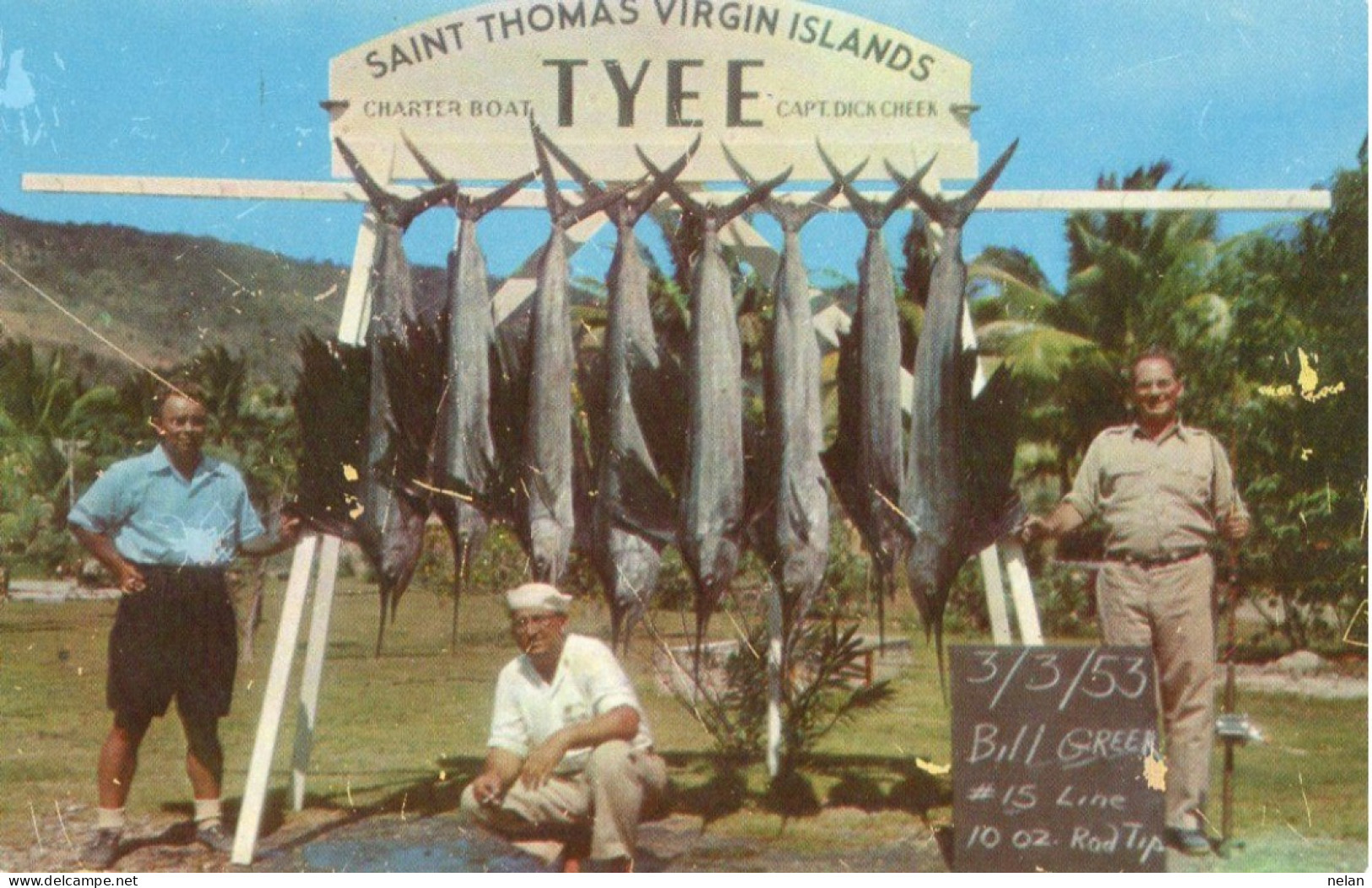 SAINT THOMAS VIRGIN ISLAND - TYEE - Vierges (Iles), Amér.