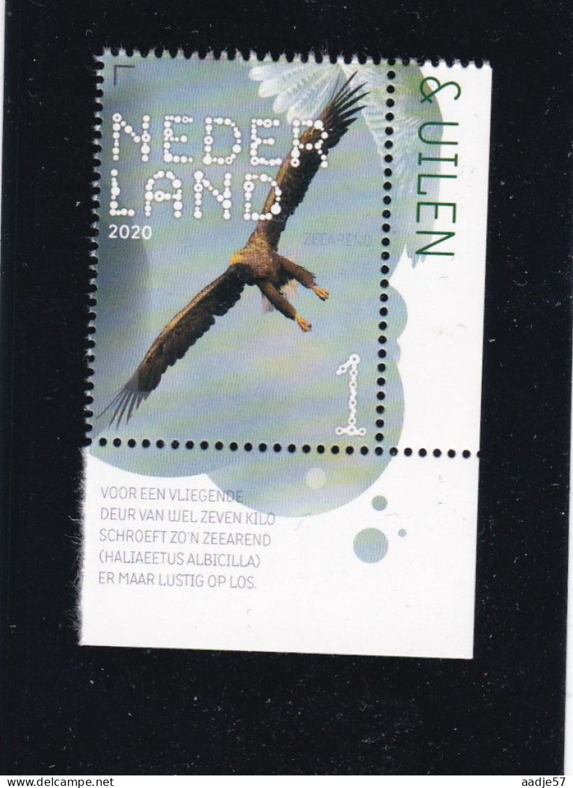 Netherlands Pays Bas 2020 Zeearend White-tailed Eagle Haliaeetus Albicilia MNH** - Aigles & Rapaces Diurnes