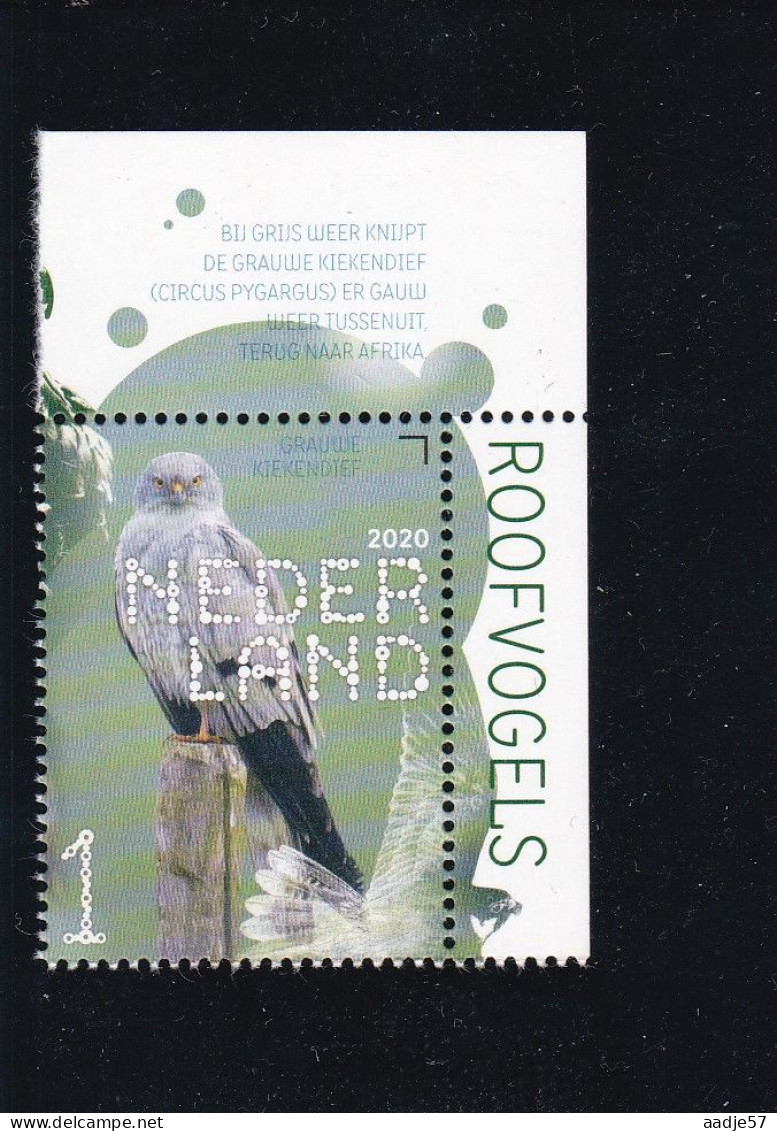 Netherlands Pays Bas 2020 Grauwe Kiekendief Harrier Circus Pygargus MNH** - Aigles & Rapaces Diurnes