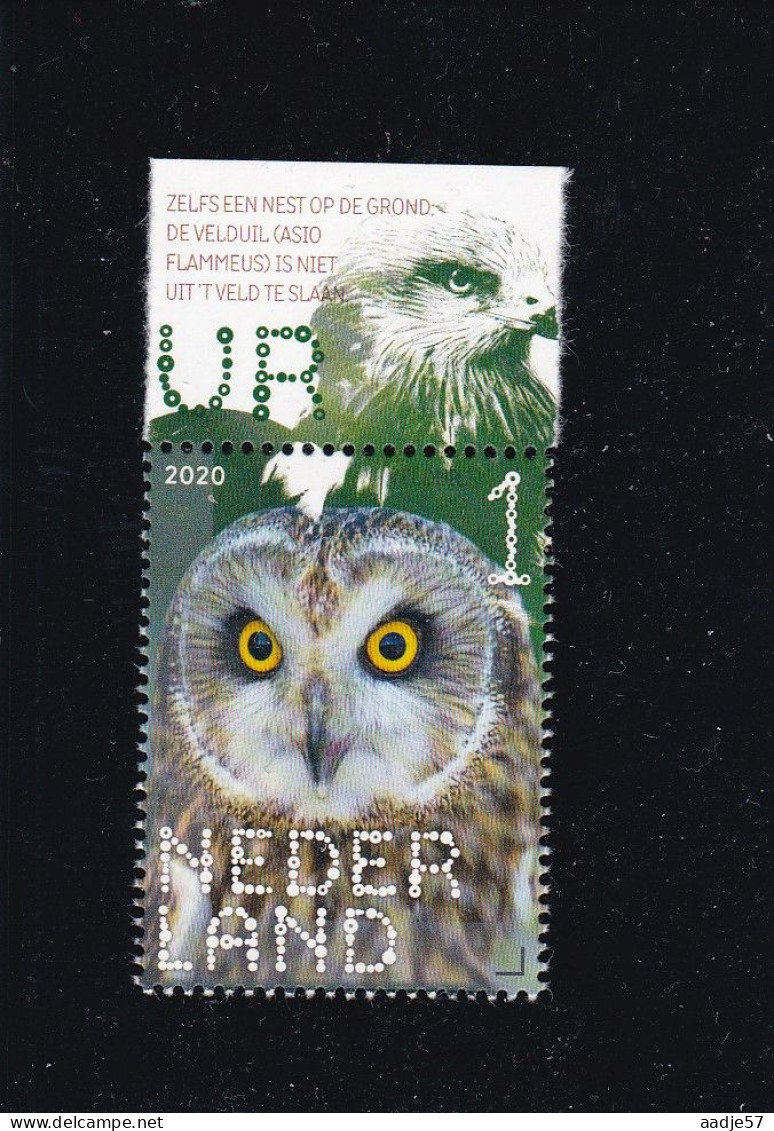 Netherlands Pays Bas 2020 Velduil Asio Flammeus MNH** - Aigles & Rapaces Diurnes