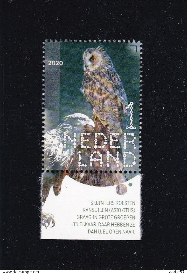 Netherlands Pays Bas 2020 Ransuil Long-eared Owl Asio Otus MNH** - Aigles & Rapaces Diurnes