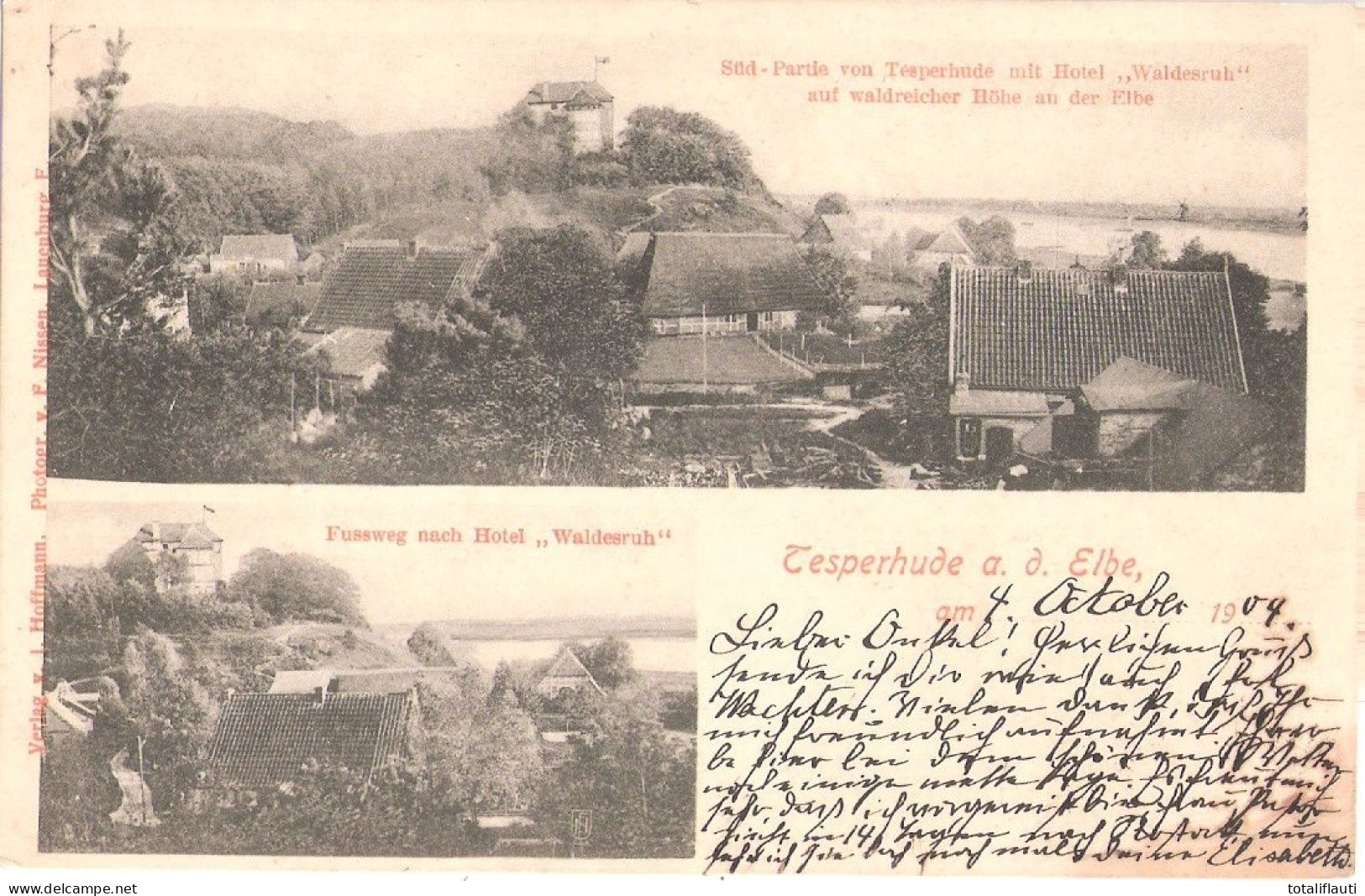 TESPERHUDE An Der Elbe Hotel Waldesruh + Fußweg Dorthin Niedersachsen Gelaufen 4.10.1904 - Lauenburg