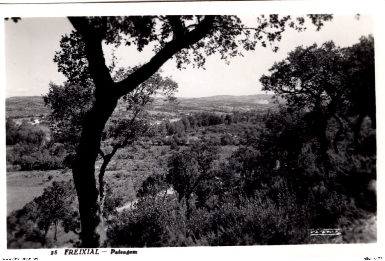 FREIXIAL - Paisagem - PORTUGAL - Castelo Branco