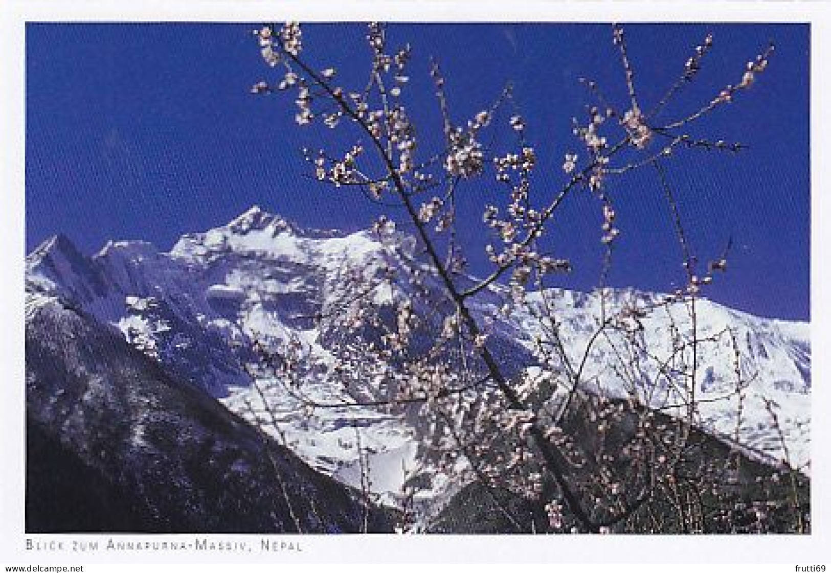 AK 167726 NEPAL - Blick Zum Annapurna Massiv - Népal