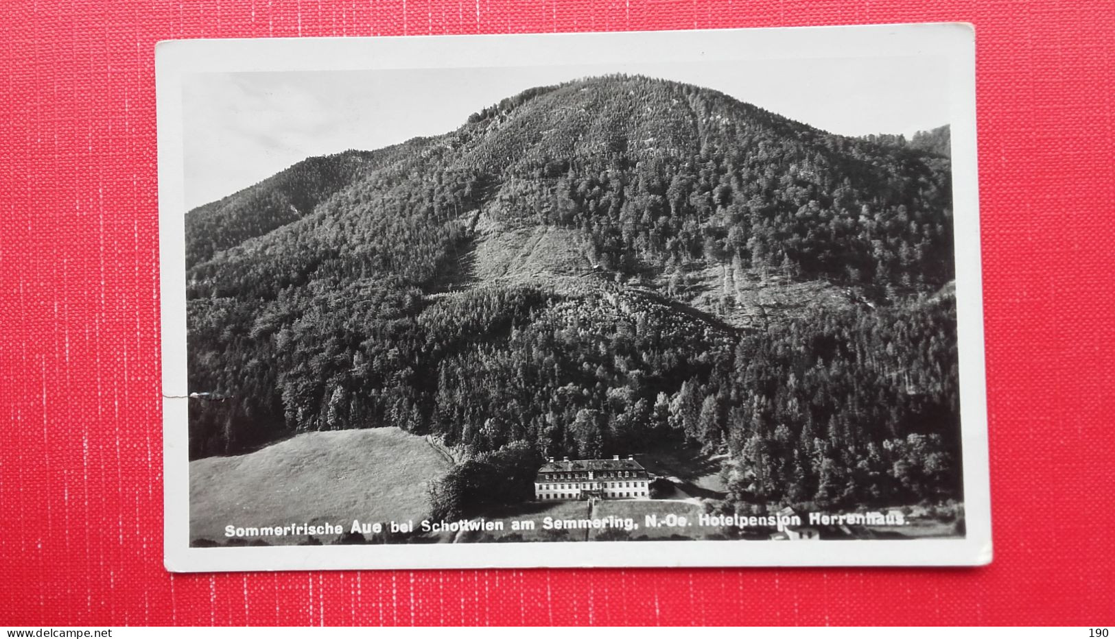 Aue Bei Schottwien.Hotel Pension Herrenhaus - Semmering