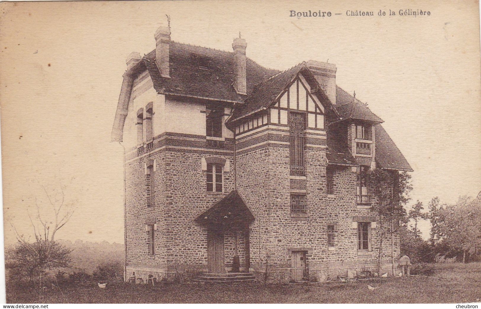 72. BOULOIRE. CPA.  CHATEAU DE LA GELINIERE - Bouloire