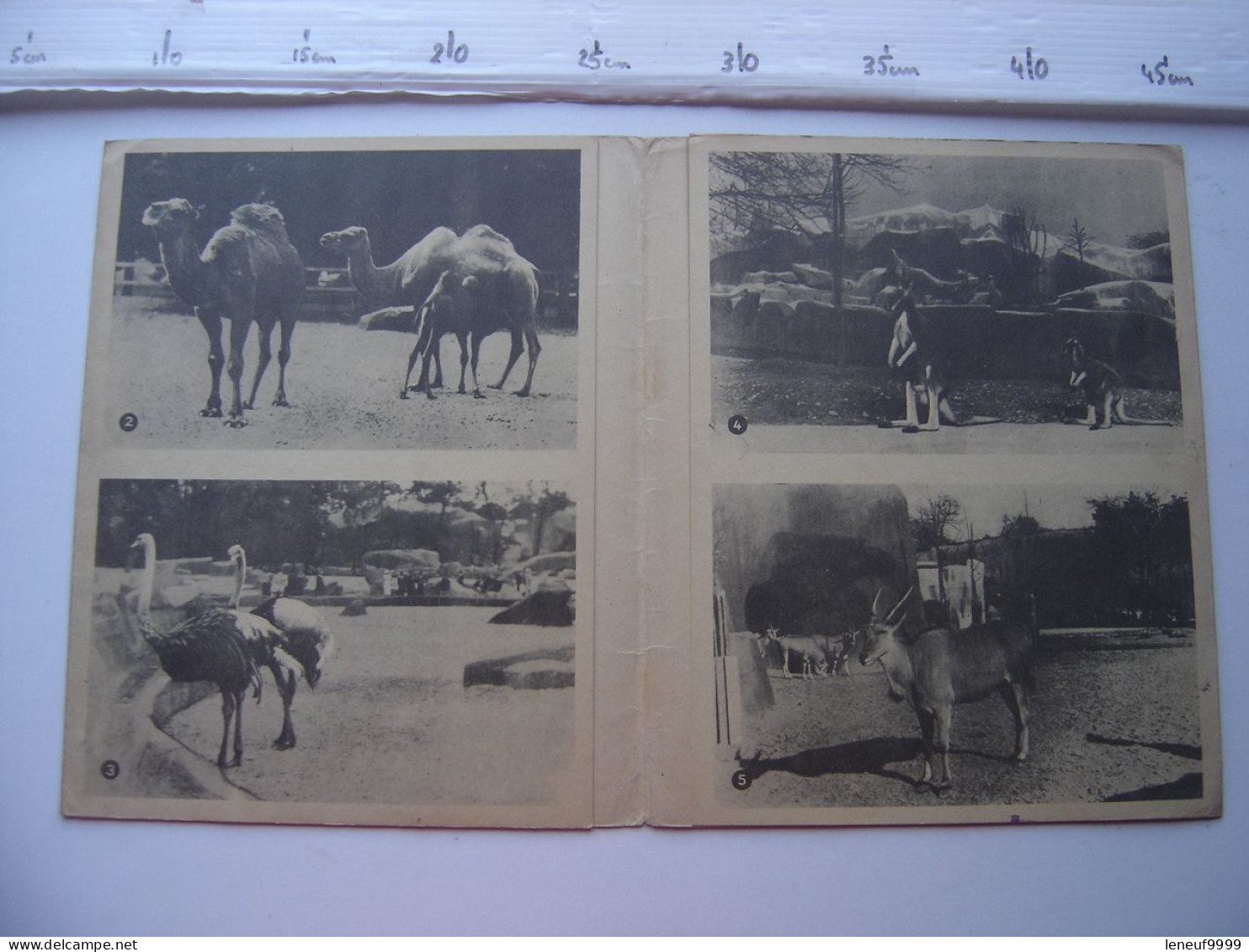 Protège Cahier Muséum Parc Zoologique Bois Vincennes Plus Beau Zoo Du Monde - Animales