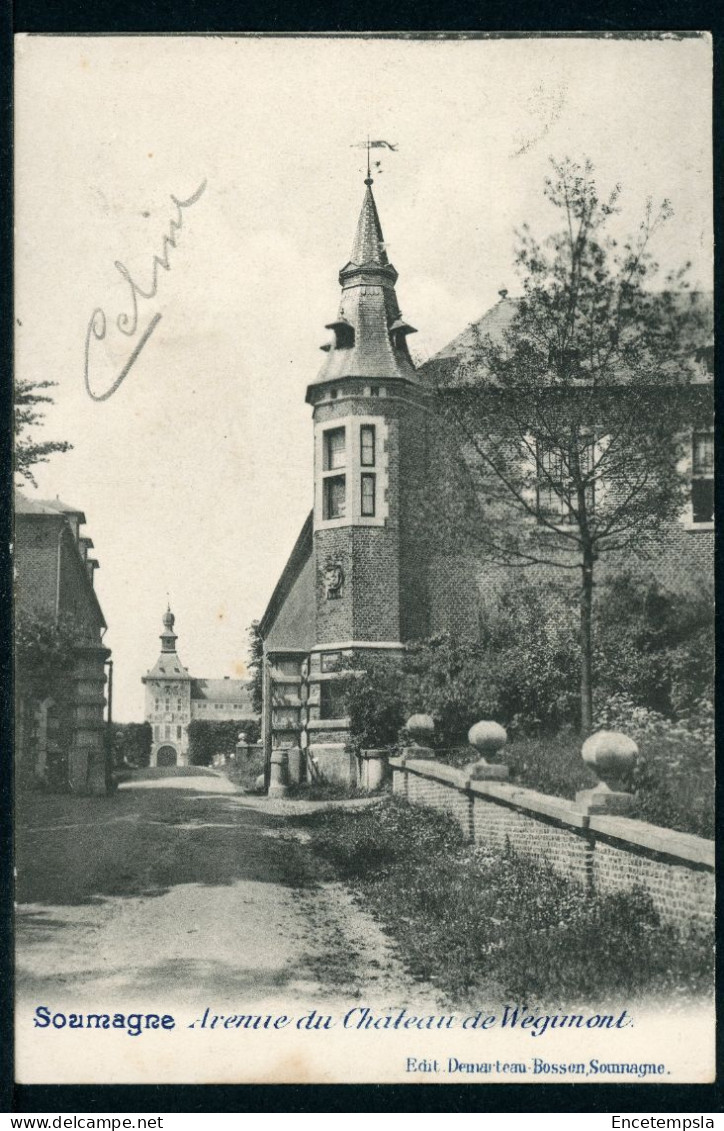 CPA - Carte Postale - Belgique - Soumagne - Avenue Du Château De Wegunont (CP23530OK) - Soumagne