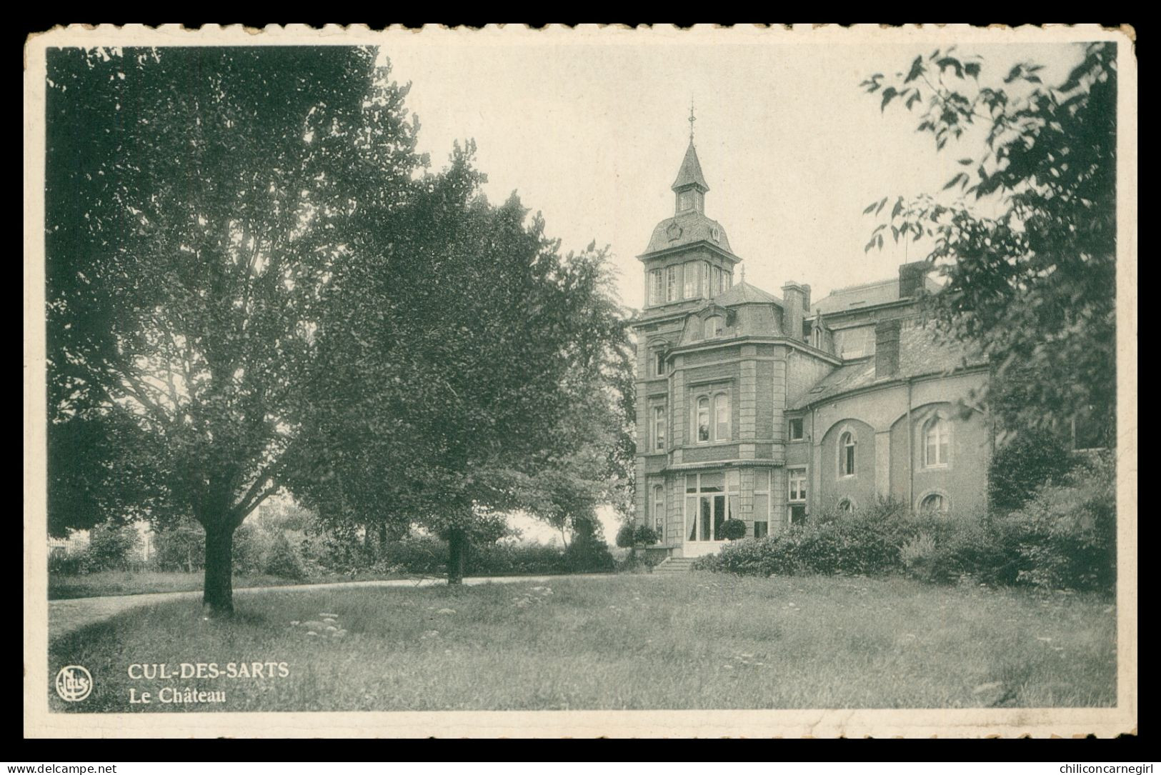 * Cp Dentelée - CUL DES SARTS - Château - Edit. RICHOUX CALLE - NELS - Cul-des-Sarts