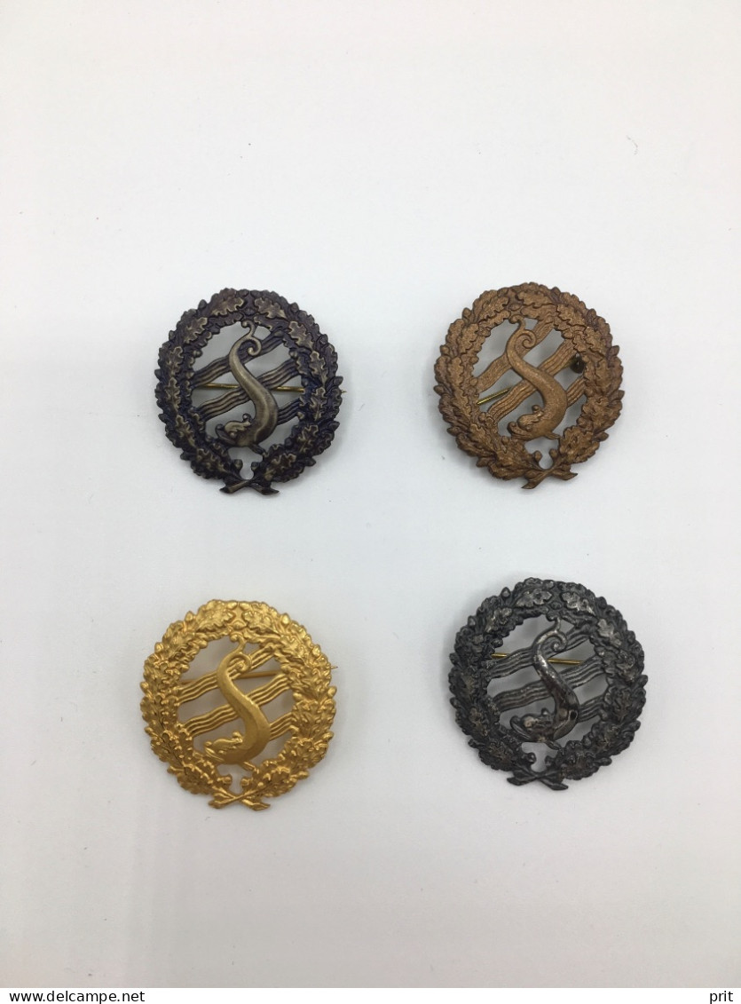 Sweden Swimming Badges Pins, Standard Magister Level: Iron Bronze Silver Gold, Collection Of 4 Vintage Metal Pins - Swimming