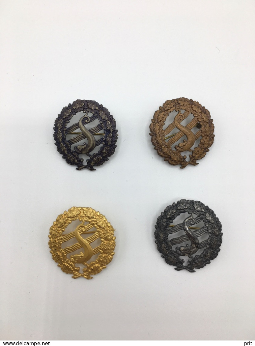 Sweden Swimming Badges Pins, Standard Magister Level: Iron Bronze Silver Gold, Collection Of 4 Vintage Metal Pins - Schwimmen