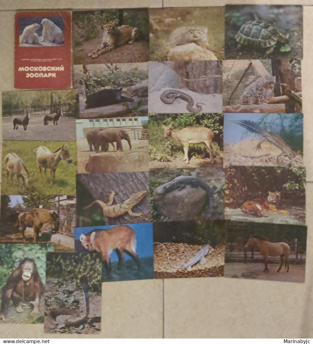 SD)RUSSIA. MOSCOW ZOO. 20 POSTCARDS - Collections