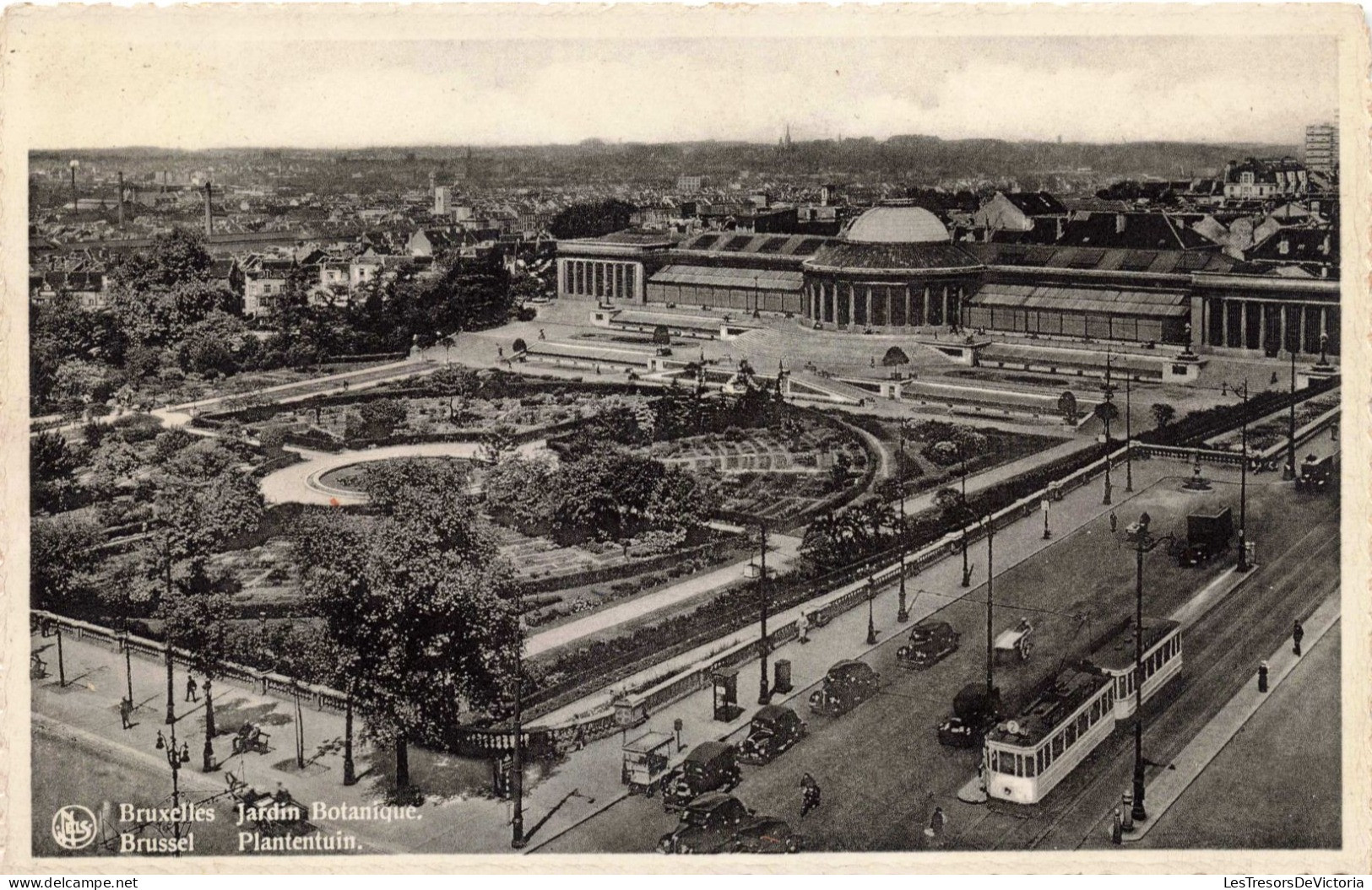 BELGIQUE - Bruxelles - Jardin Botanique - Carte Postale Ancienne - Foreste, Parchi, Giardini