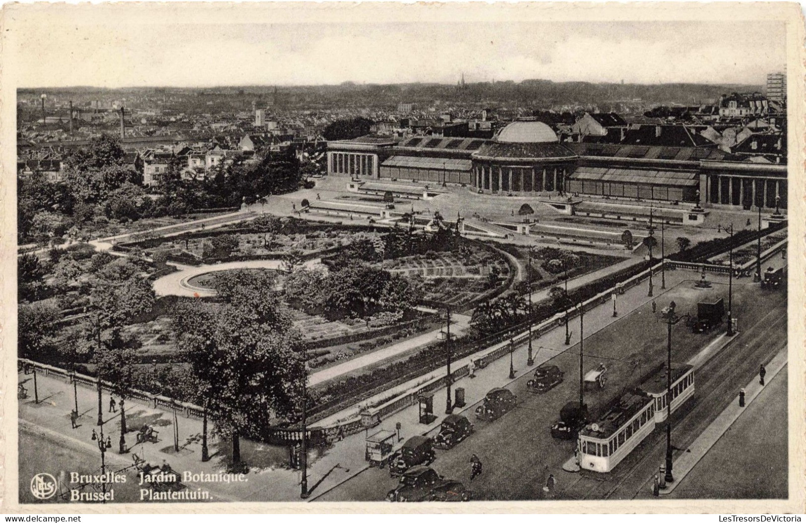 BELGIQUE - Bruxelles - Jardin Botanique - Carte Postale Ancienne - Forêts, Parcs, Jardins