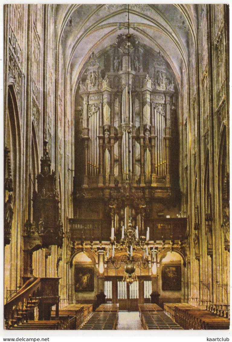Kathedrale Basiliek Van St-Jan Te 's-Hertogenbosch - Orgel - (Noord-Brabant, Nederland) - ORGUE/ORGAN/ORGEL - 's-Hertogenbosch