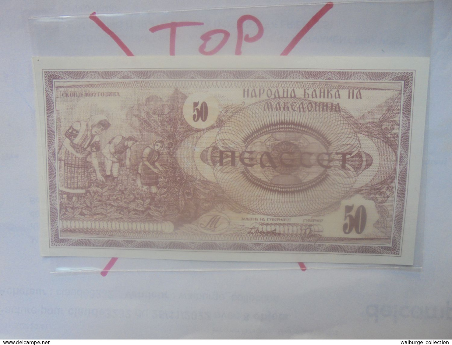 MACEDOINE 50 Denar 1992 Neuf (B.30) - Macedonia Del Norte