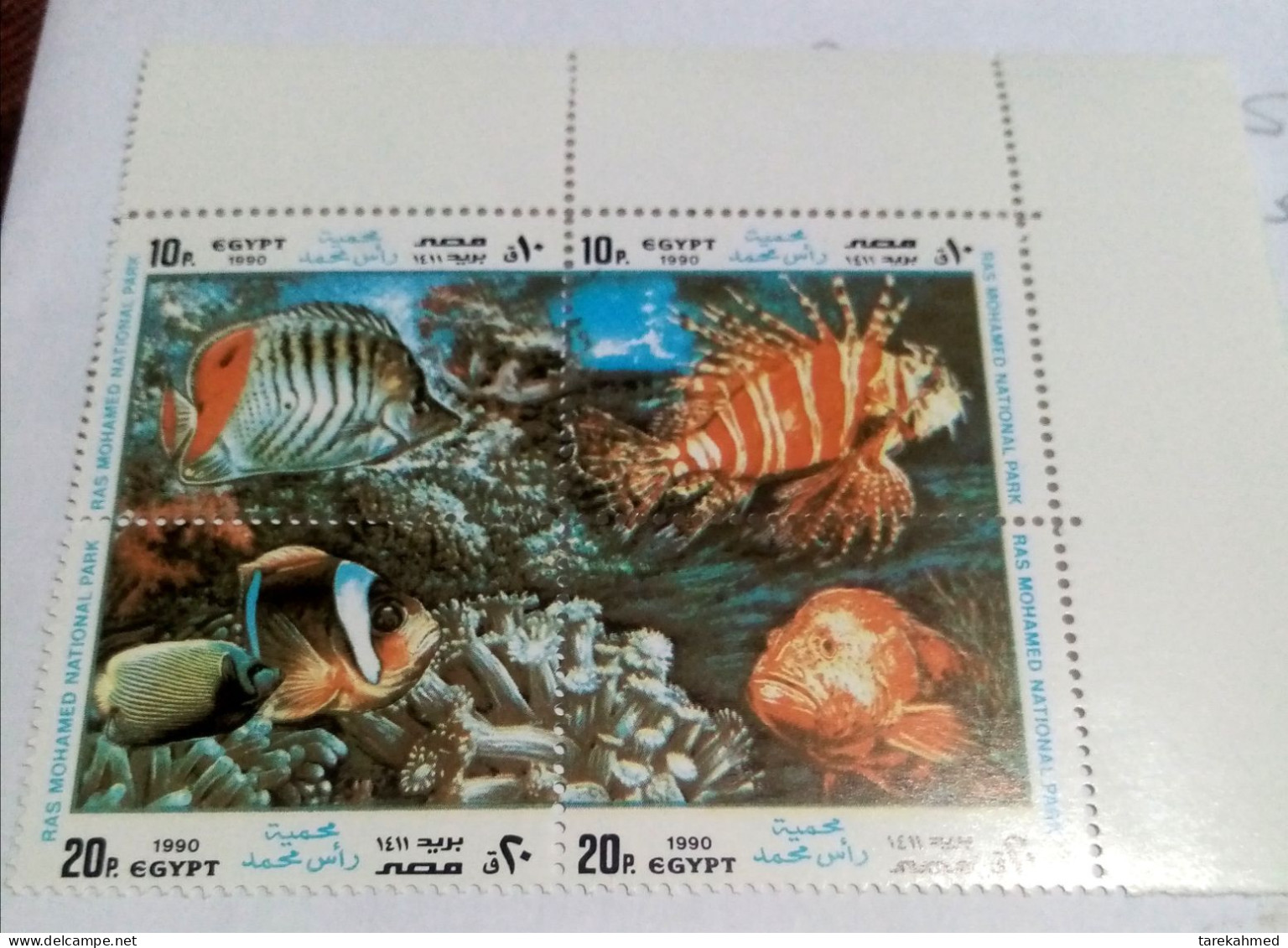 EGYPT 1990, Complete SET Of RAS MOHAMED NATIONAL PARK, RED SEA, MNH  With Corner Margin - Neufs