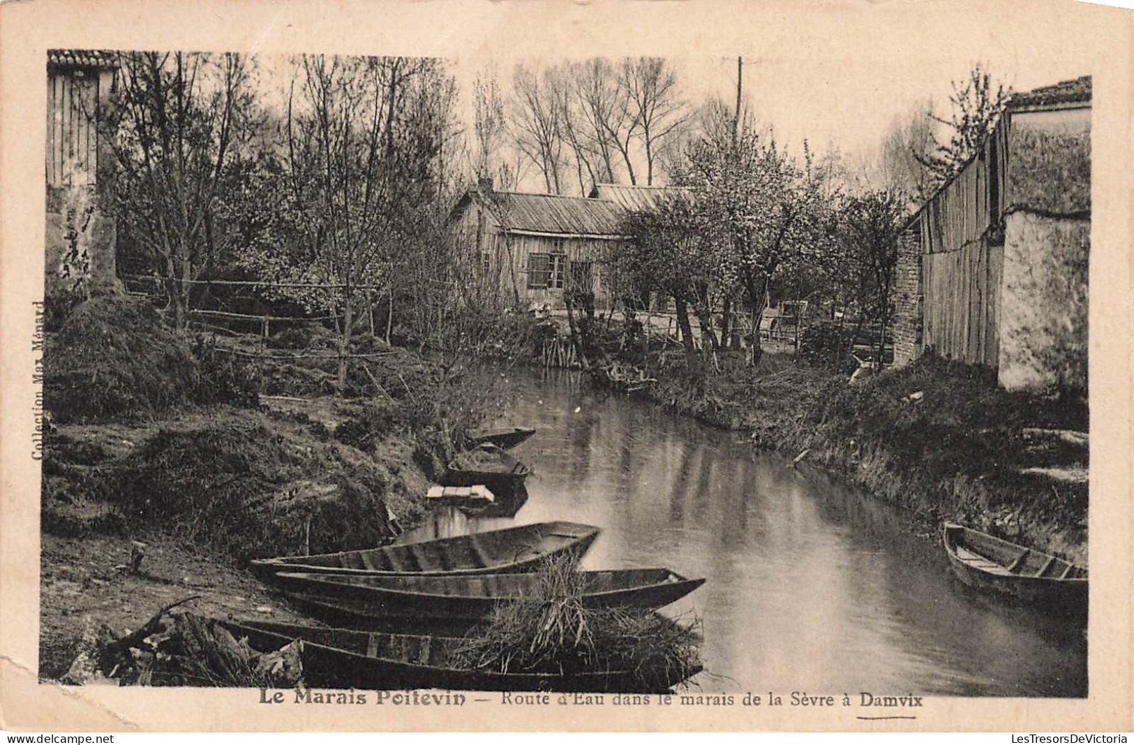 FRANCE - Le Marais Poitevin - Route D'eau Dans Le Marais De La  Sèvre à Damvix - Carte Postale Ancienne - Sonstige & Ohne Zuordnung