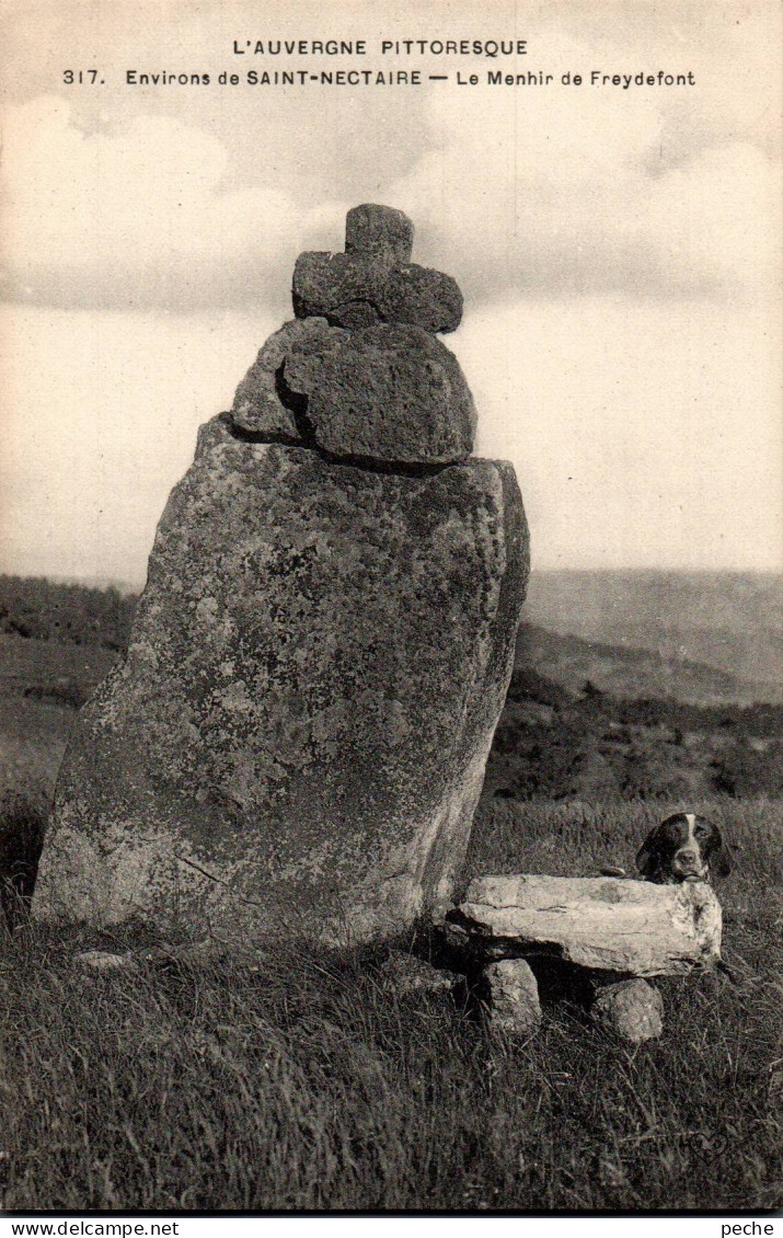 N°112004 -cpa Environs De St Nectaire -le Menhir De Freydefont- - Dolmen & Menhirs
