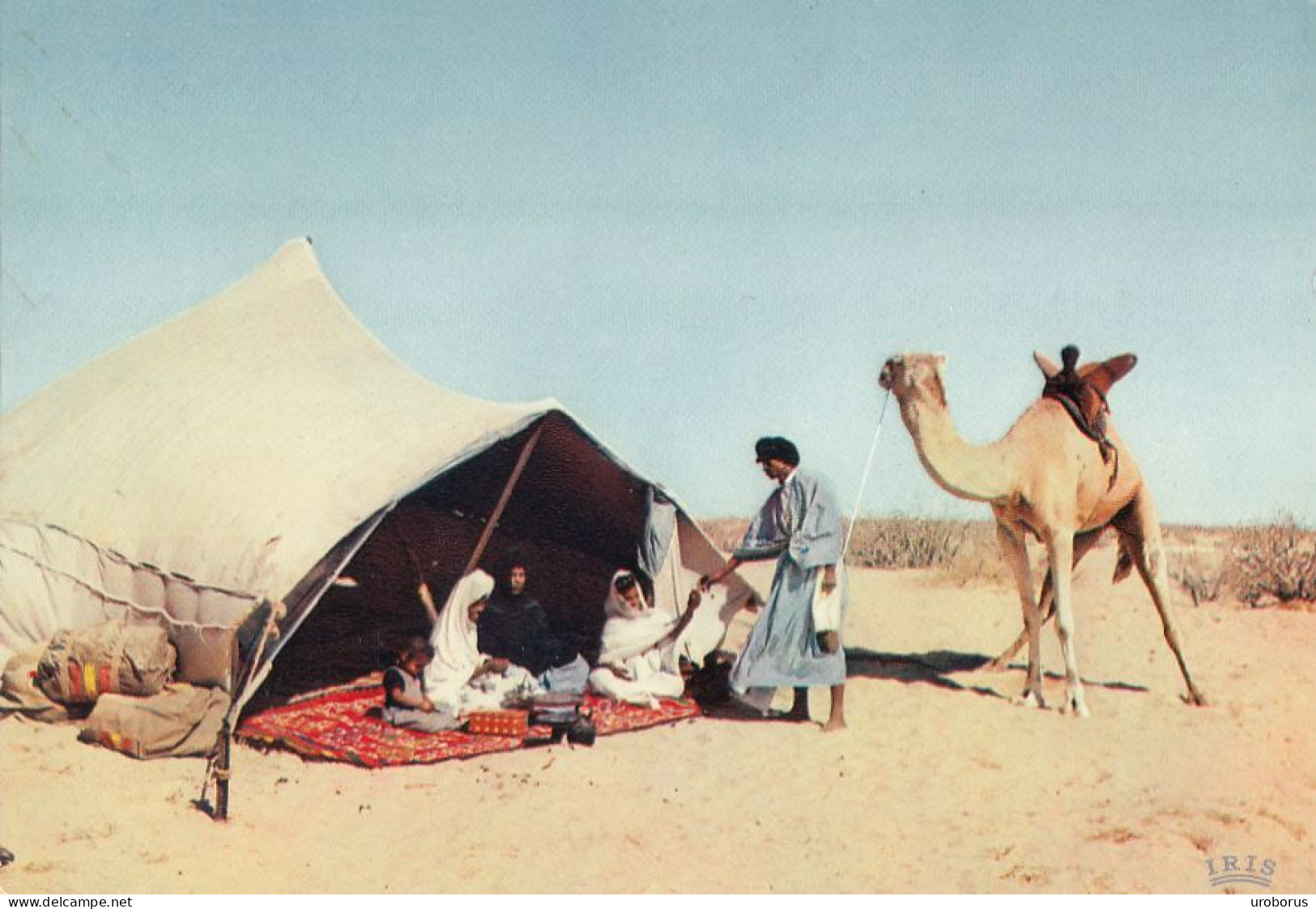 MAURITANIA - Vie Nomade - Mauritanie