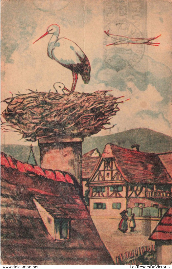 BELGIQUE - Alsace - Nid De Cigognes En Alsace - Colorisé - Carte Postale Ancienne - Sonstige & Ohne Zuordnung