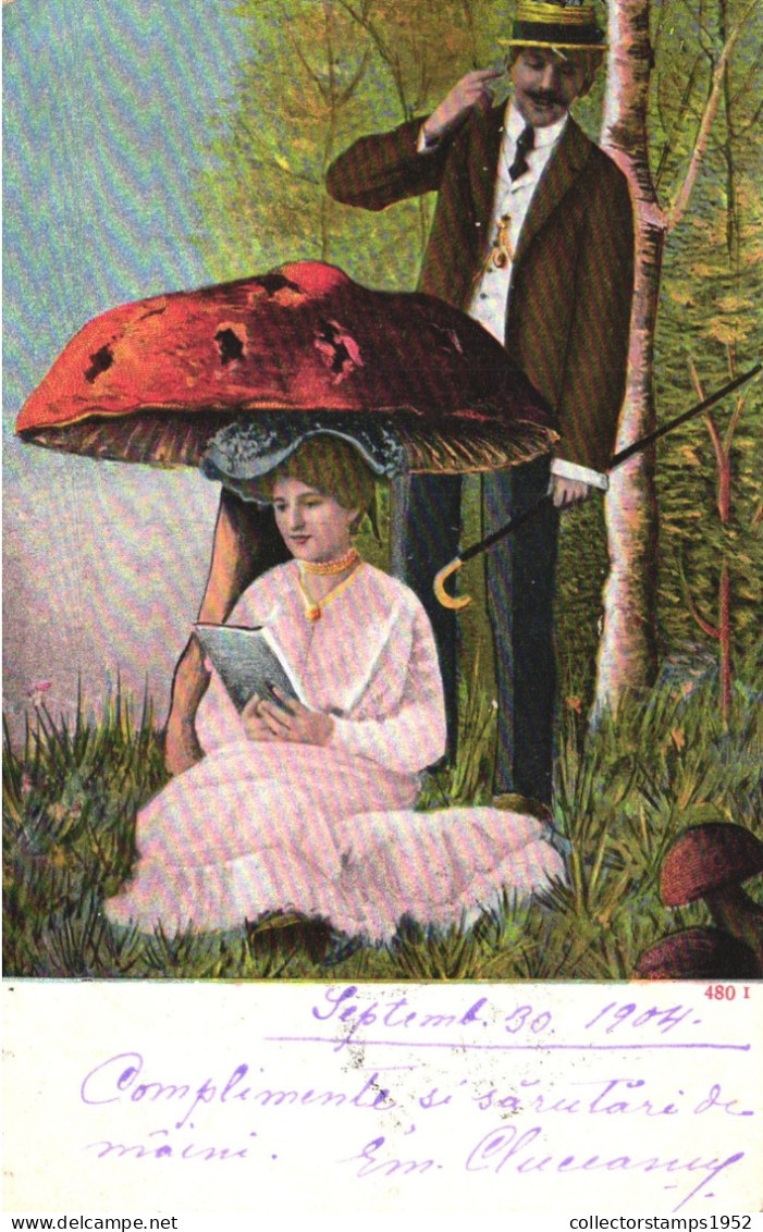 VINTAGE POSTCARD, MUSHROOMS, LADY READING AND GENTLEMAN WITH HAT AND WALKING STICK - Pilze