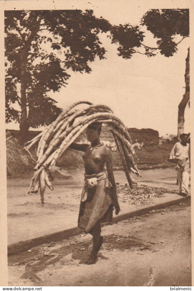 PORTO-NOVO  Porteuse De Cannes à Sucre - Benin