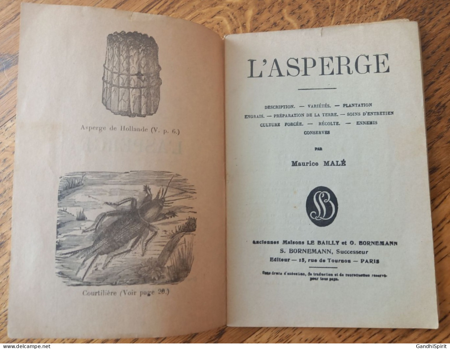 L'Asperge - Description, Variétés, Plantation, Engrais, Préparation De La Terre, Soins, Culture Forcée, Récolte, Ennemis - Jardinería