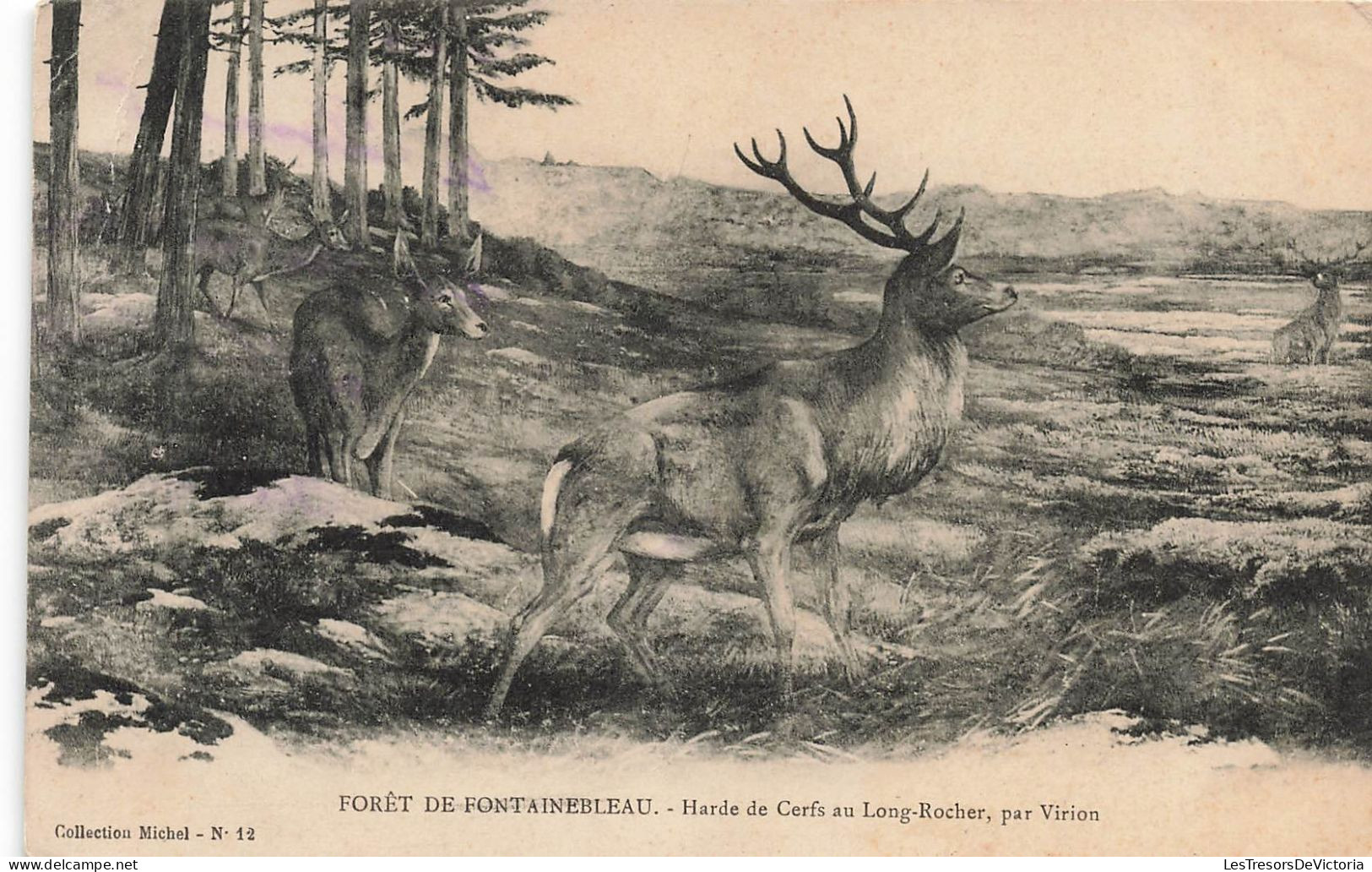 PHOTOGRAPHIE -  Harde De Cerfs Au Long Rocher - Carte Postale Ancienne - Fotografia