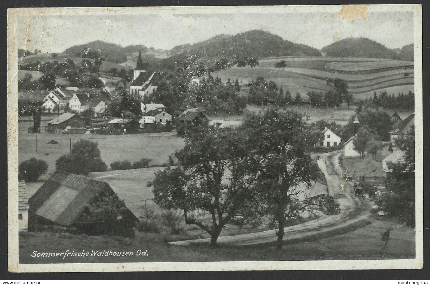 Sommerfrische WALDHAUSEN Od. (Strudengau) - Verlag Franz Mörtl - Old Postcard (see Sales Conditions) 09007 - Perg