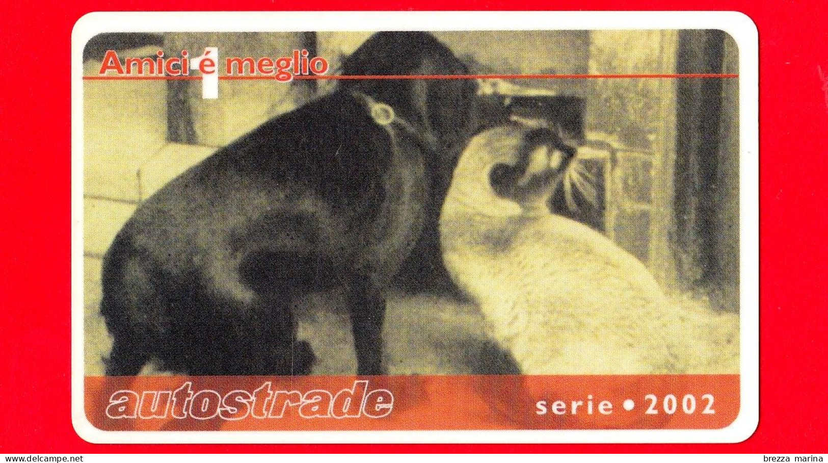 VIACARD - Serie Amici è Meglio - Foto 1 - Tessera N. 1461 - 50 € - Pub - 09.2002 - Andere & Zonder Classificatie