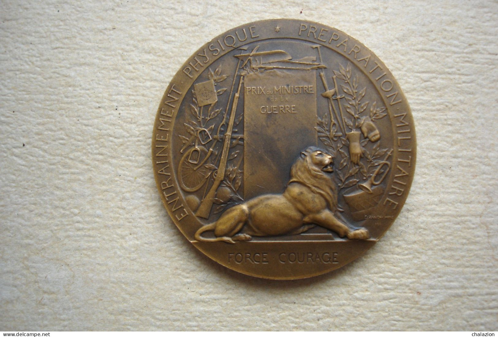 Militaria Belle Médaille De Préparation Militaire PROPATRIA En Bronze - Francia