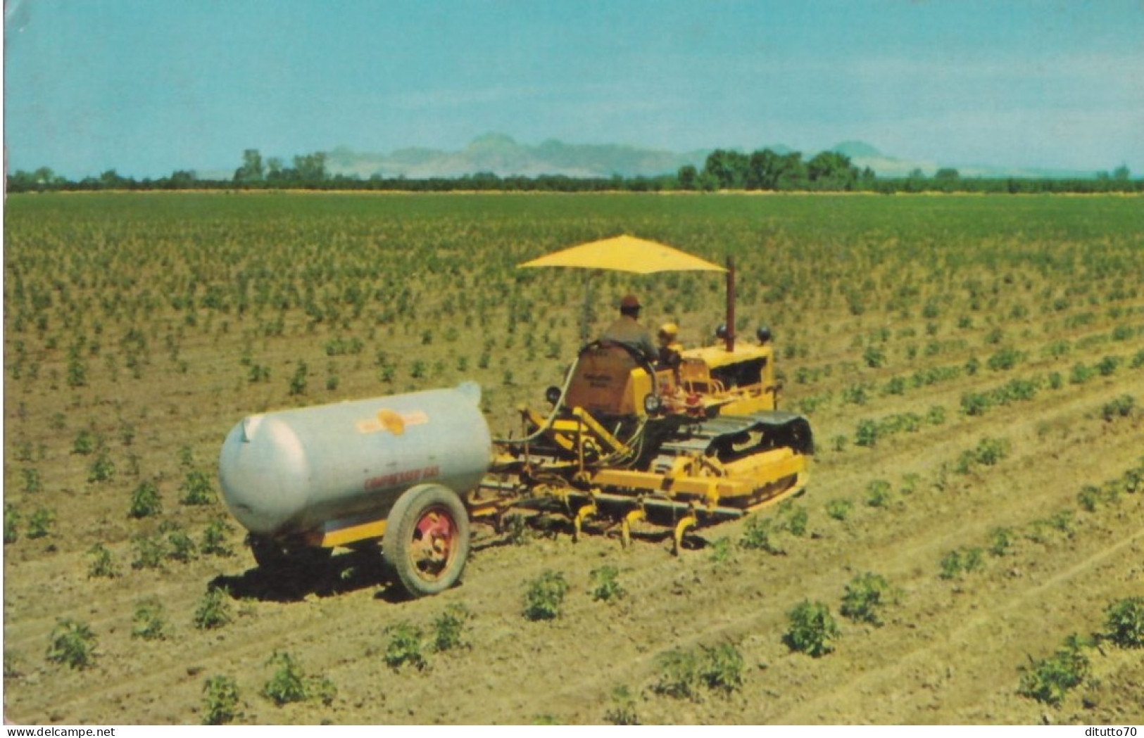 Caterpillar Disel D4 Tractor And Tool Bar With Chisel In Cultivating And Applying Anhydrous Ammonia At The Same Time On - Autres & Non Classés