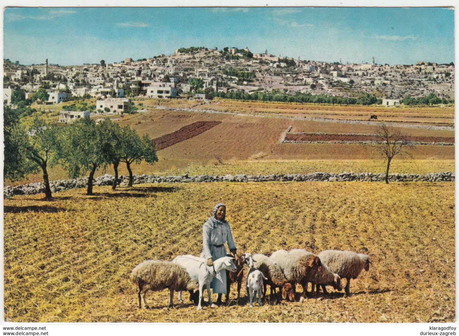 Betlehem Shepherd Field Old Postcard Unused B170525 - Palestine