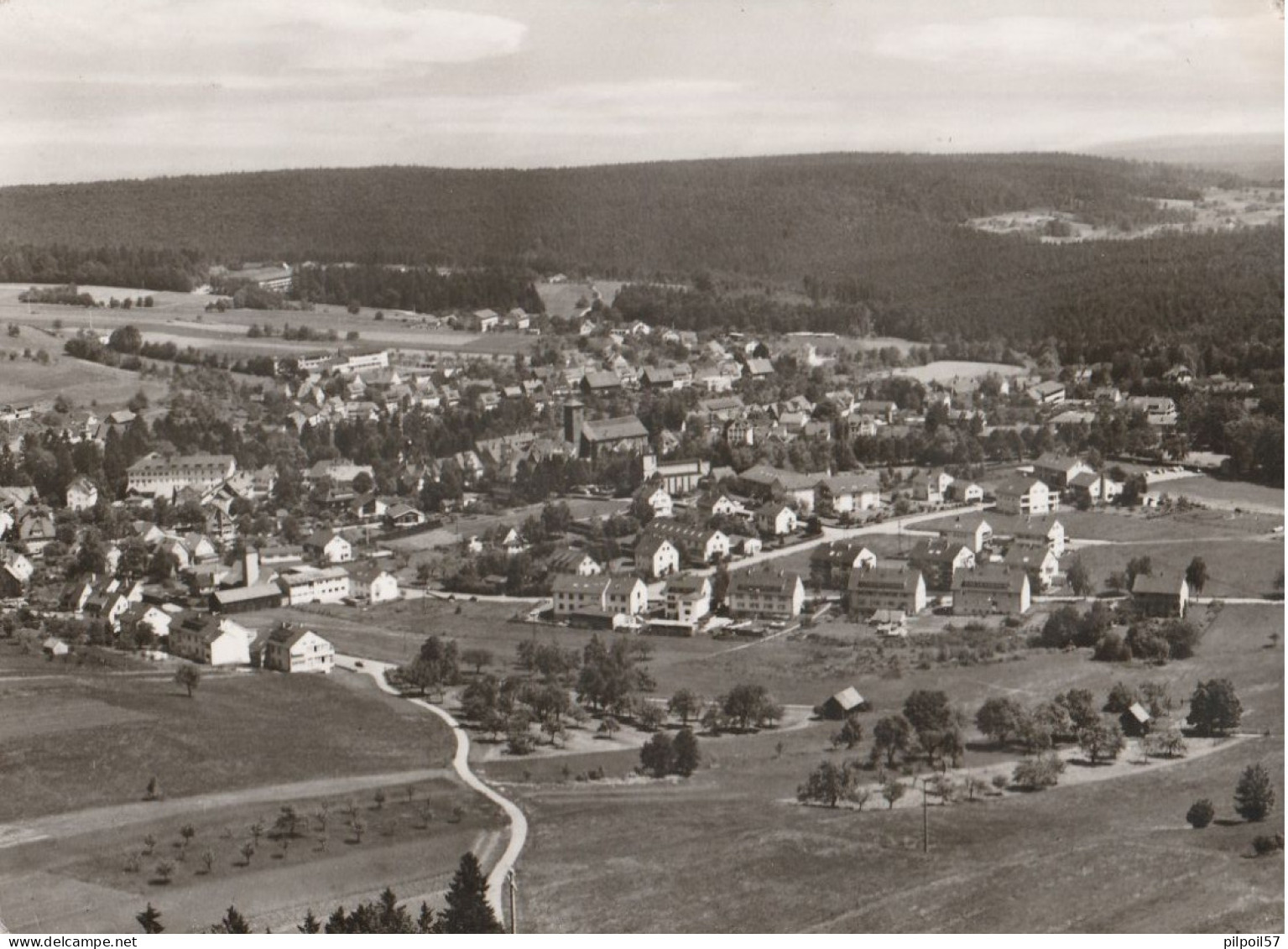 ALLEMAGNE - SCHOMBERG - Im Schwarzwald (CPSM 10,5X15) - Schömberg