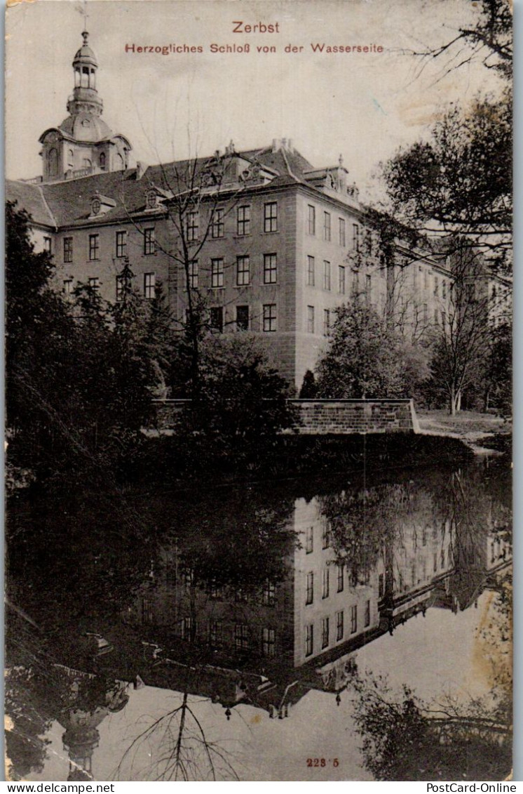 43595 - Deutschland - Zerbst , Herzogliches Schloß Von Der Wasserseite - Gelaufen 1907 - Zerbst