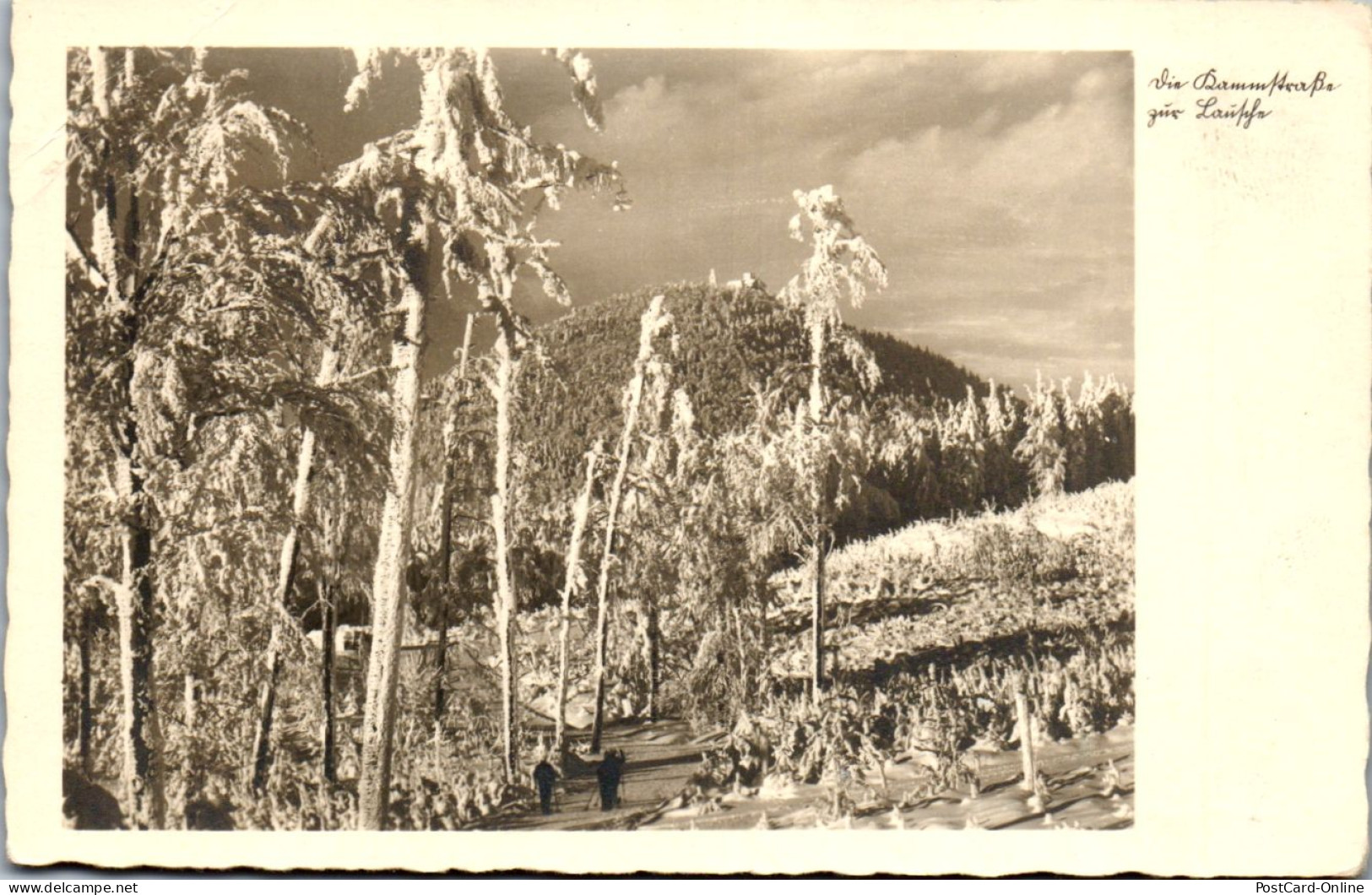 43501 - Deutschland - Die Lausche , Zittauer Gebirge - Nicht Gelaufen  - Grossschoenau (Sachsen)