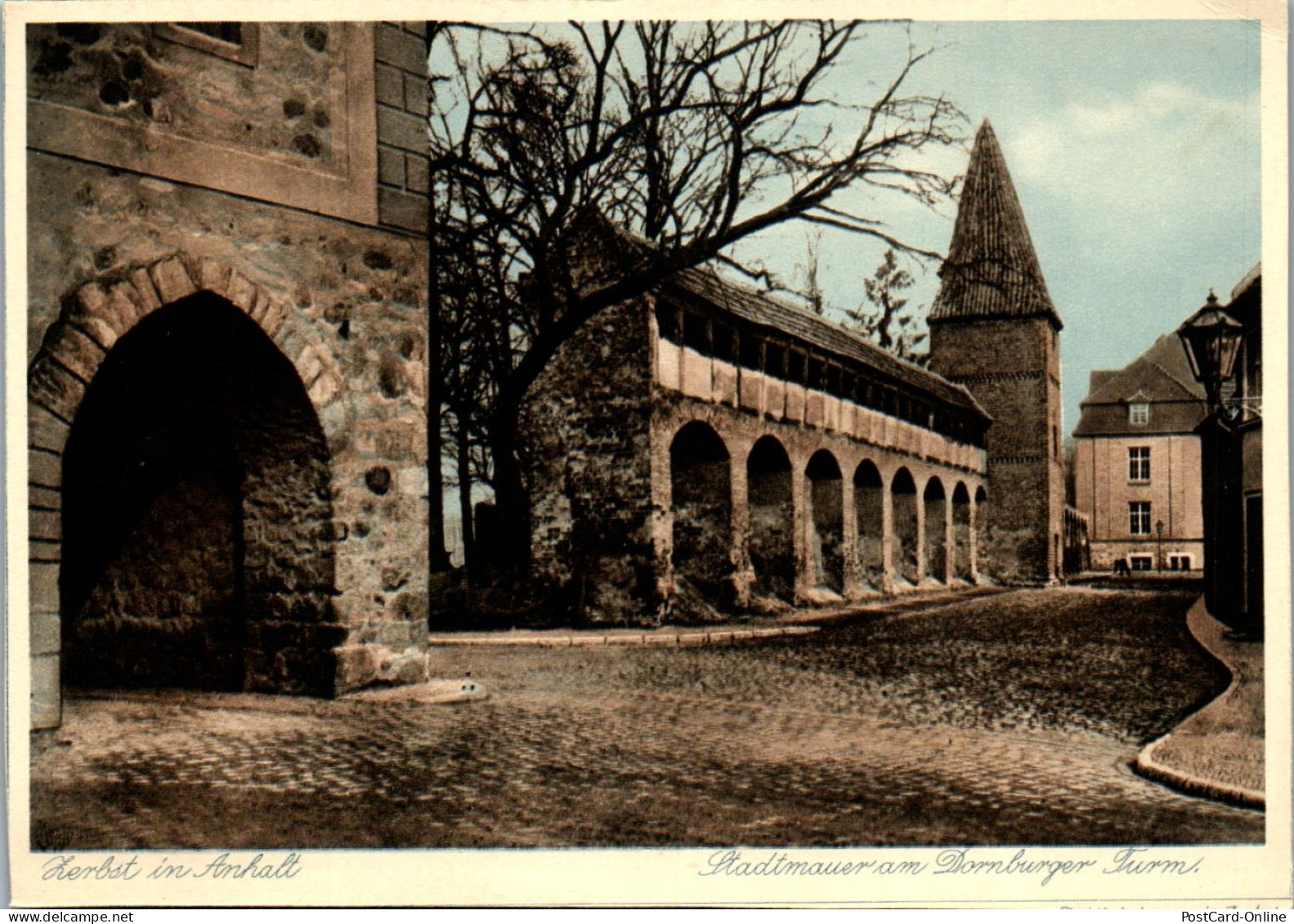 43960 - Deutschland - Zerbst , Stadtmauer Am Dornburger Turm - Nicht Gelaufen  - Zerbst