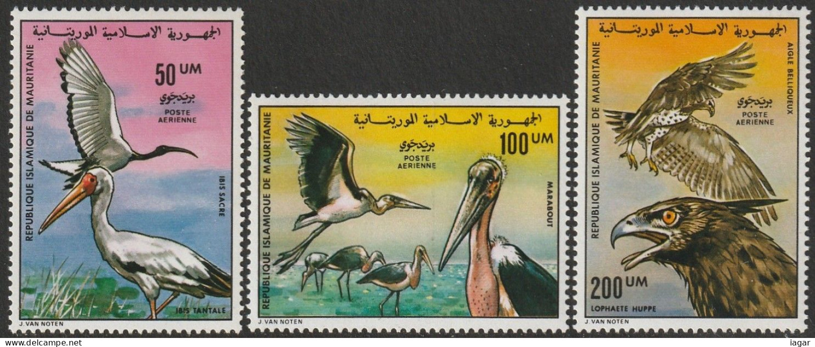 THEMATIC BIRDS: IBIS SACRE, MARABOUT, AIGLE   -   MAURITANIE - Aigles & Rapaces Diurnes