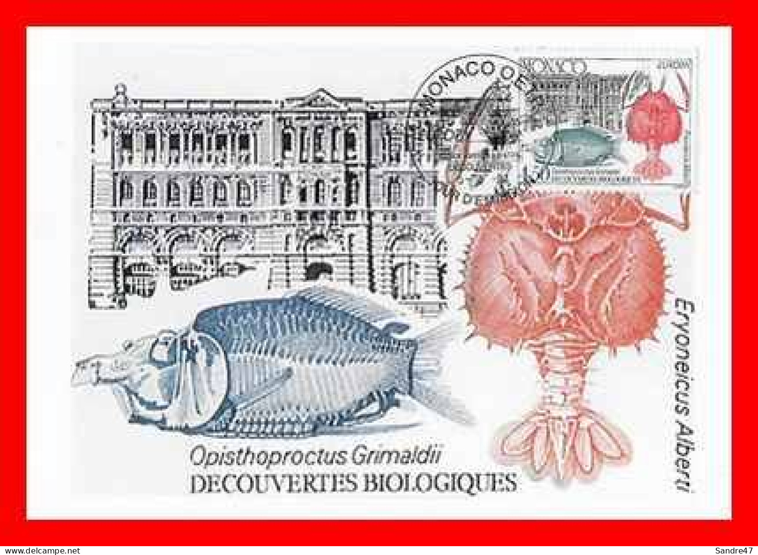 CPSM/gf MONACO.  Découvertes Biologiques "Opisthoproctus Grimaldii..*3636 - Musée Océanographique