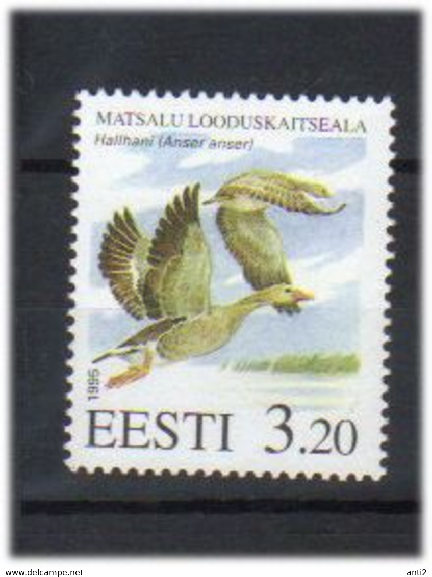 Estonia 1995 Bird,  Graylag Goose (Anser Anser)  Mi 246 MNH(**) - Estonia