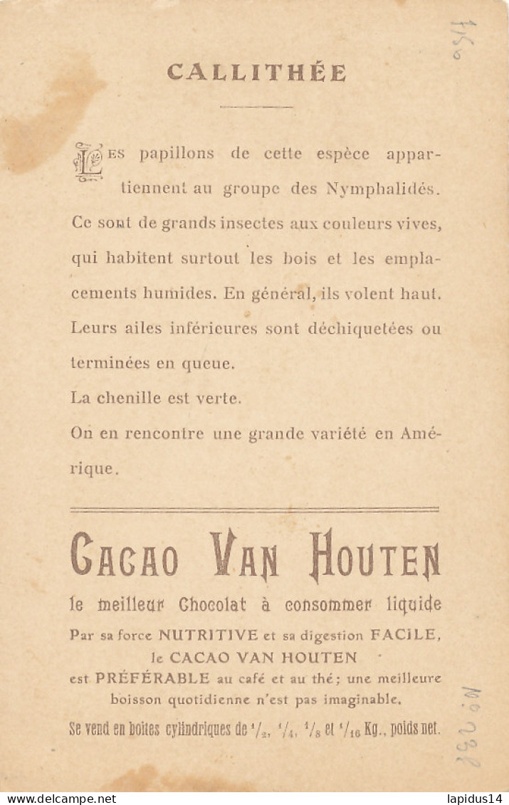  N 238-  1   CHROMO-   CACAO VAN HOUTEN  PAPILLON - CALLITHEE - Van Houten